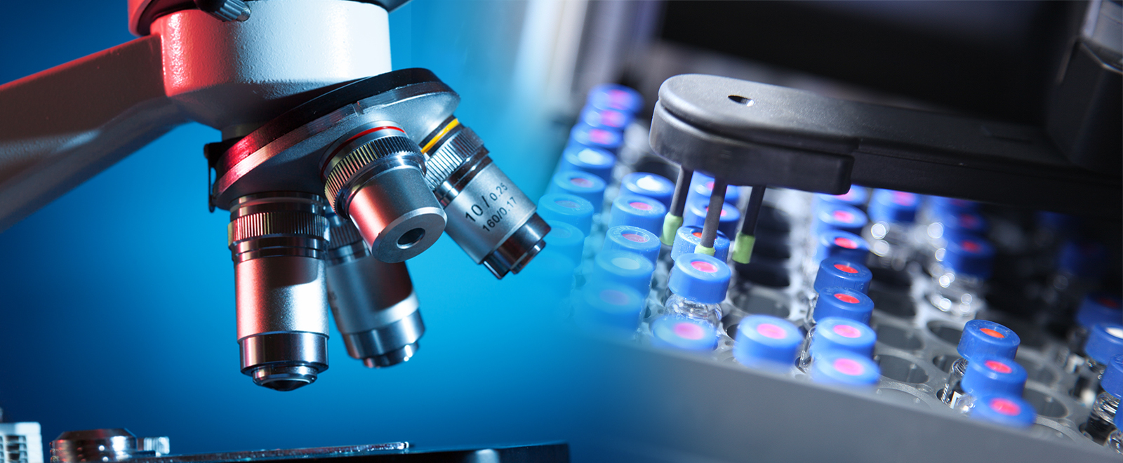 دارای گواهینامه های